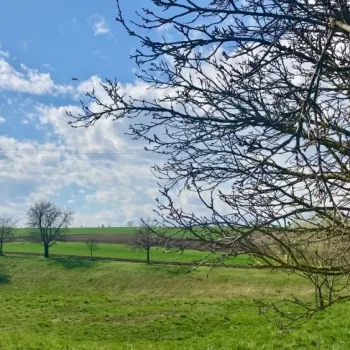 Pozemek Hodějice, 734m2
