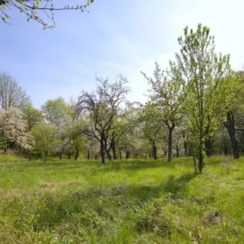 Stavební pozemek u Majáku - Zlín / Březnice