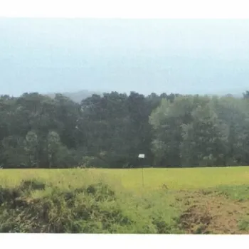 Pozemky - 90.380 m², Stará Ves