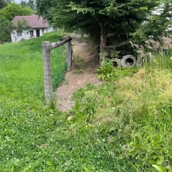 Prodej zahrady 240m v zastavěném území